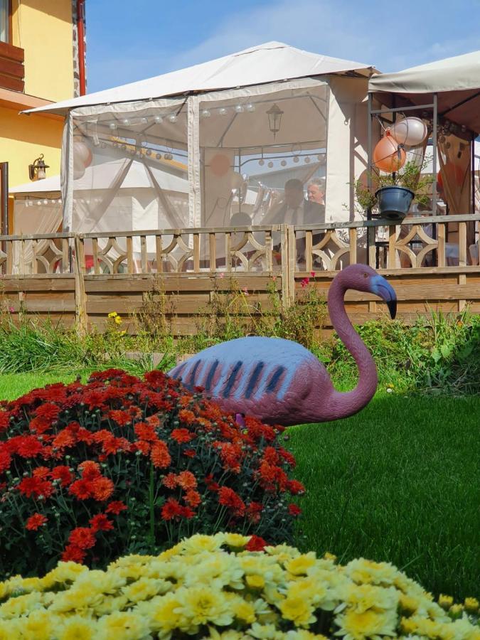 Sultan Mehmet Pensiune & Restaurant براشوف المظهر الخارجي الصورة